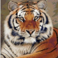 Сергей Николаевич