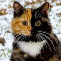 Евгения Осикина