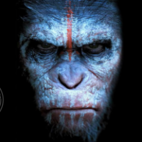 Стас Литвак