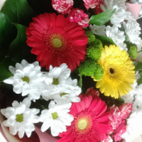 Ольга Меркулова