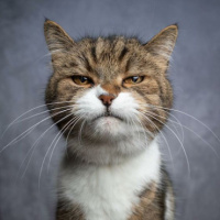 Алексей Братушев