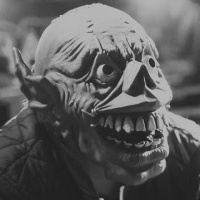 Кот Наоборот