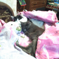 Оригинальный Ник