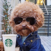 Иван Патрушев