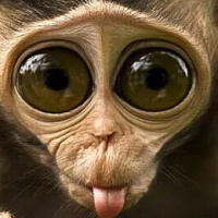 игорь арнаутов