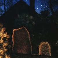 Татьянка Жученко