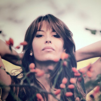 Барышня Боярышня