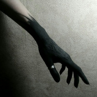 Закери Коннелл