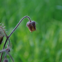 Эдуард Губайдуллин