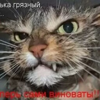 алексей токтаулов