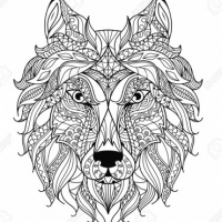 Владимир Зайканский