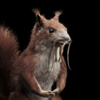 Андрей Белавенцев