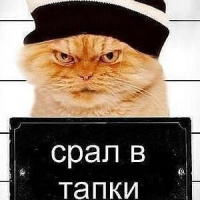 Денис Штольц