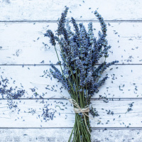 Кристина Легецкис