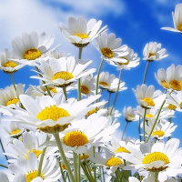 Ольга Руснак