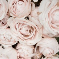 Наталья Грязнова