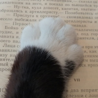 Диас Уалиханов