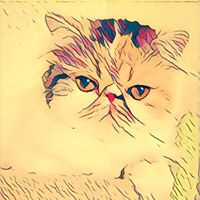 Денис Низамиев