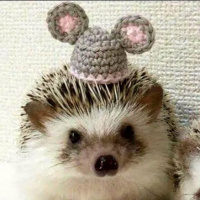 ПернатыйЁжик