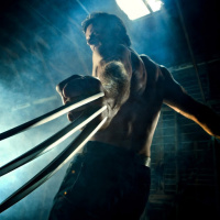 Logan Wolverine
