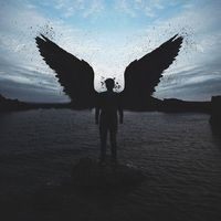 Дмитрий Стерлик