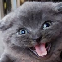 Людмила Хрыстенко