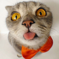 Арсен Ибрагимов