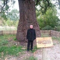 Владимир Великодный