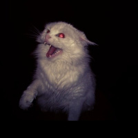 Никита Садян