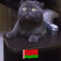 Анжелика Лычковская