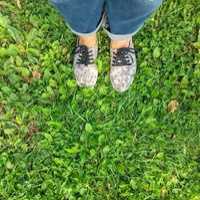 Юлия Чашницкая