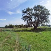 Гуллария Хаертдинова