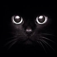 Игорь Будурин