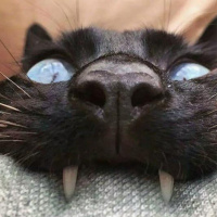 Влад Ратников