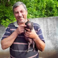 Коломиец Александр