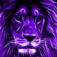 Лаура Ауде Врилинк