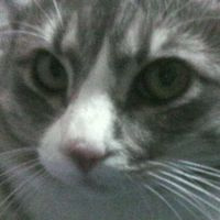 Наталья Для Игр