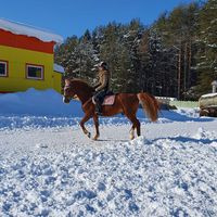 Настя Коновалова