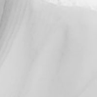 Алиса Колногорова