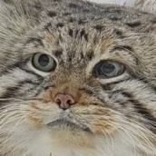 Анастасия Фомина