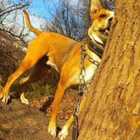 Игорь Ивановский