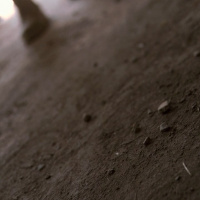 Максим Галкин