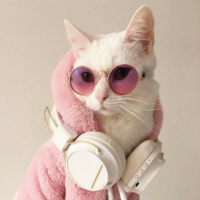 Алина Тыхеева