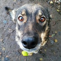 Наталья Пилькевич