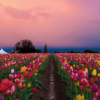 ТАТЬЯНА ПРОХОРОВА