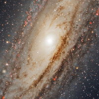 Алекс Русский