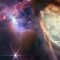 Елизавета Алексеева