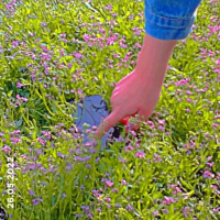 Тансулпан Абдульменова