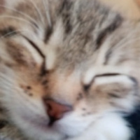 Михаил Раговик