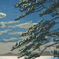 Алексей Шибеко